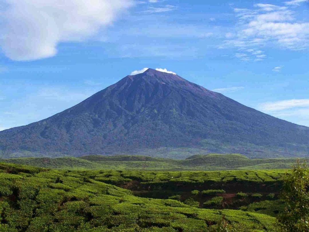 Pendakian Kerinci Tutup Setahun, Pelaku Wisata Berharap Segera Dibuka