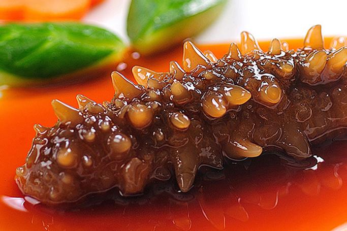 7 Manfaat Teripang untuk Kesehatan Tubuh, Yuk Coba!
