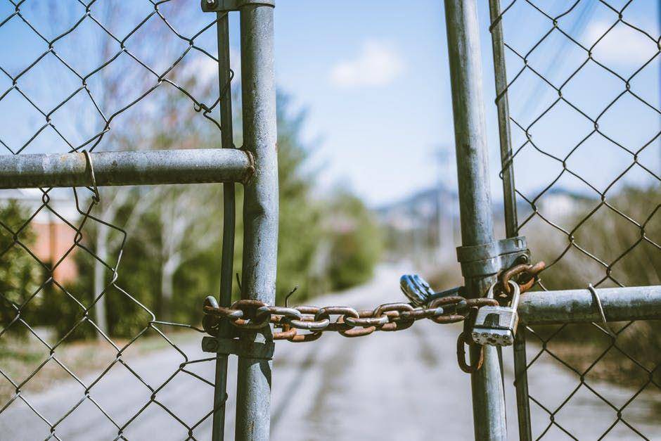 pexels.com/@travis-saylor-271738