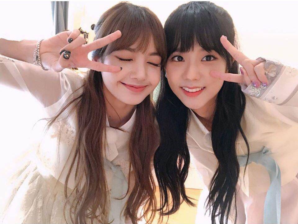blackpinkupdate.com