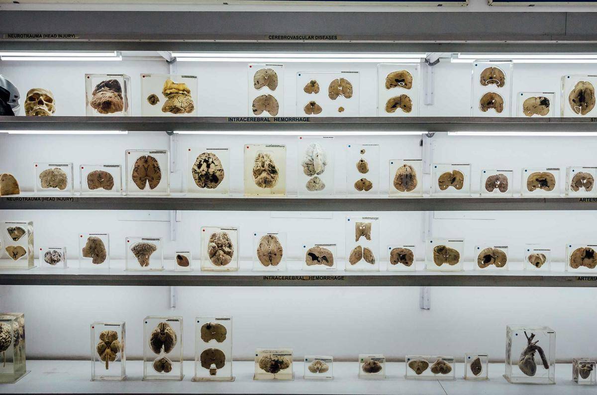 museumsofindia.org
