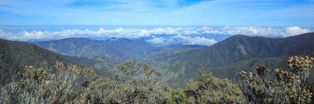 www.indonesiakaya.com