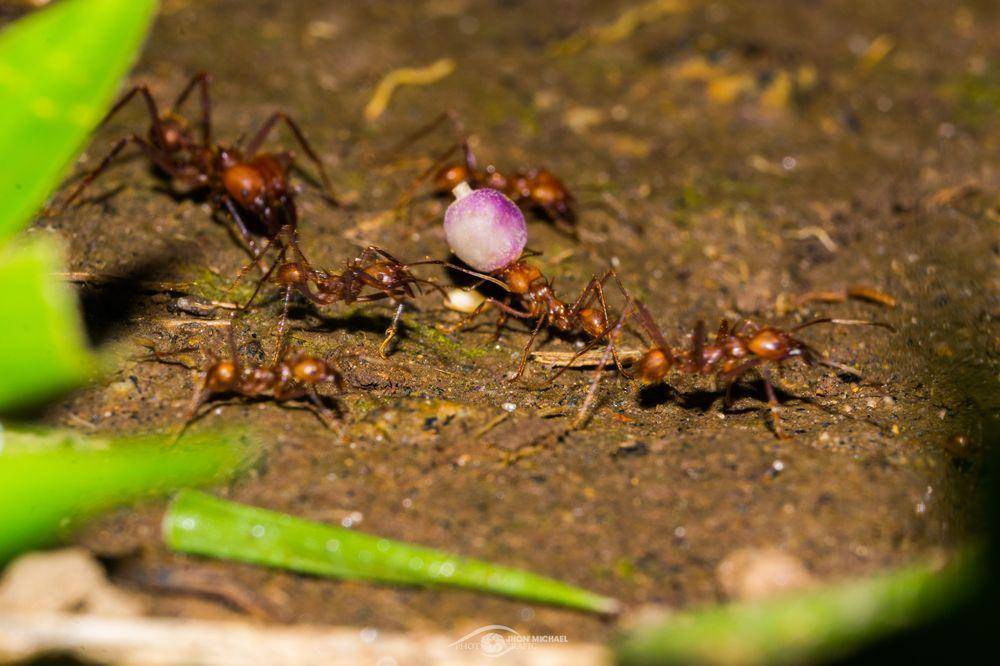 yourshot.nationalgeographic.com