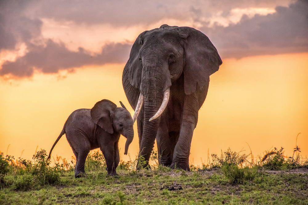yourshot.nationalgeographic.com