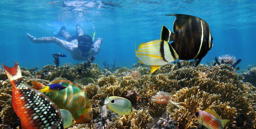 Bikin Betah Nyemplung! Ini 5 Spot Snorkeling Keren di Sulawesi Selatan