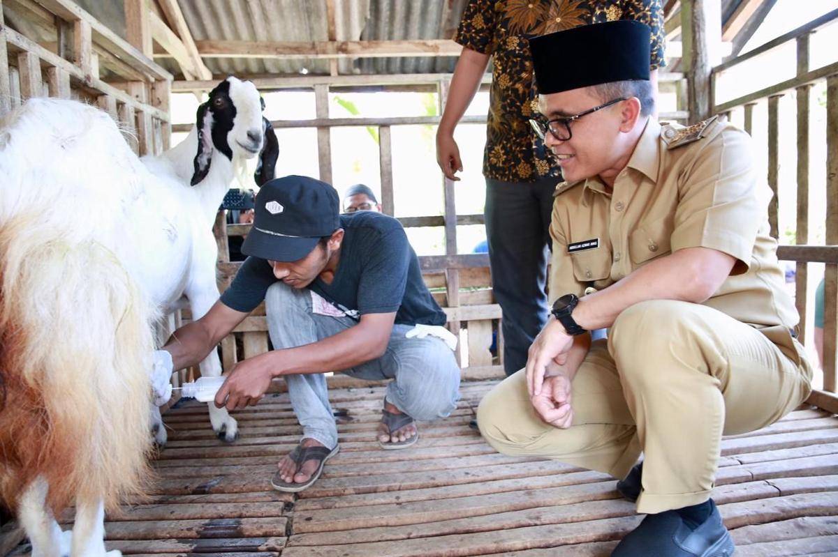 Dok. IDN Times/Humas Banyuwangi
