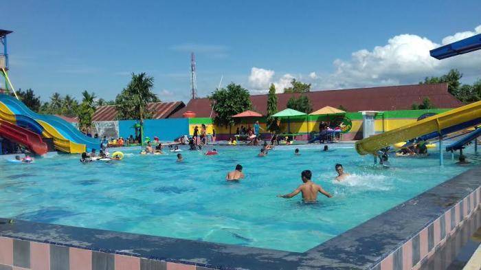 makassar.tribunnews.com