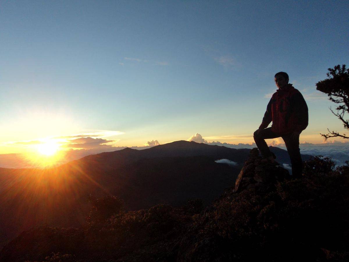 jelatangnusantara.blogspot.com
