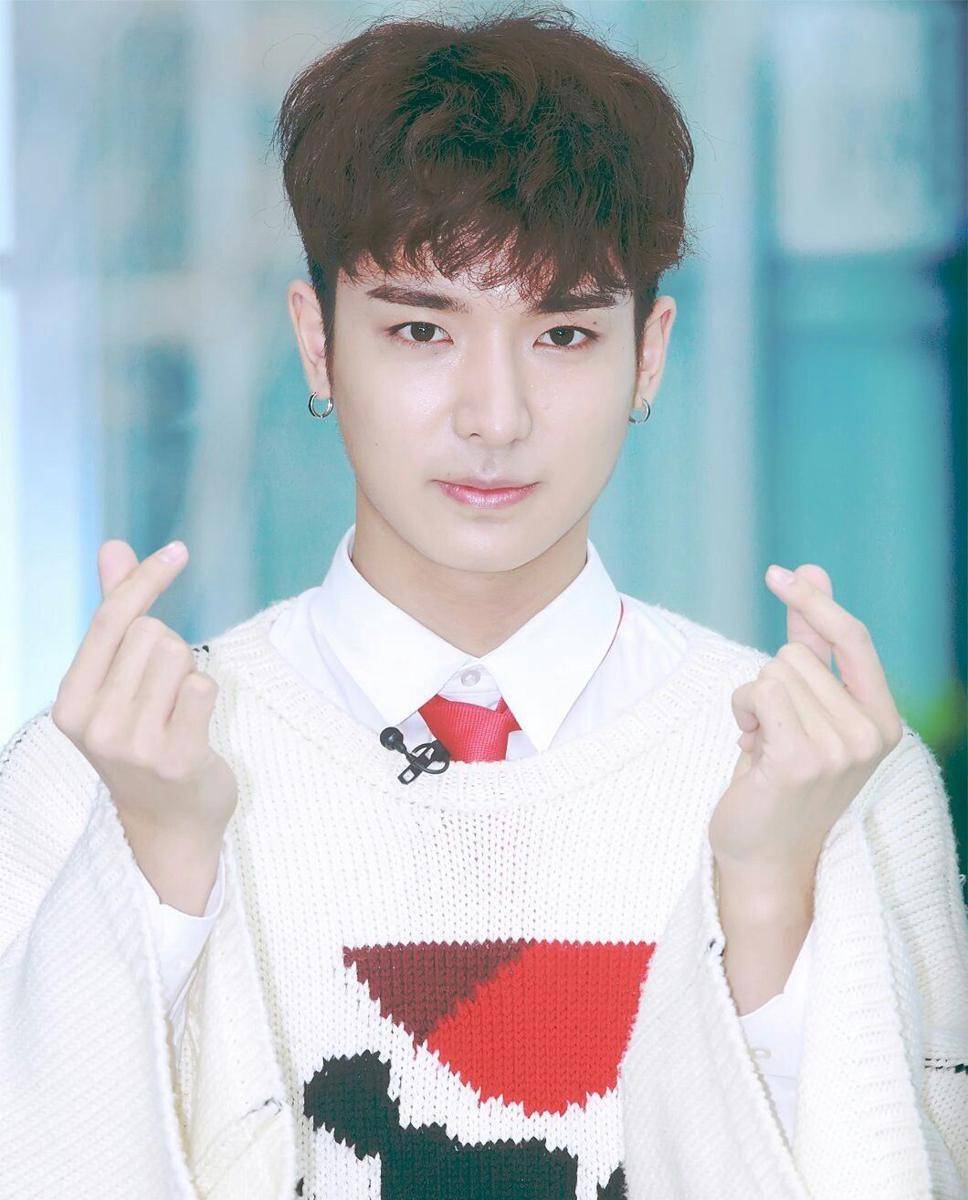 thekpopwiki.com