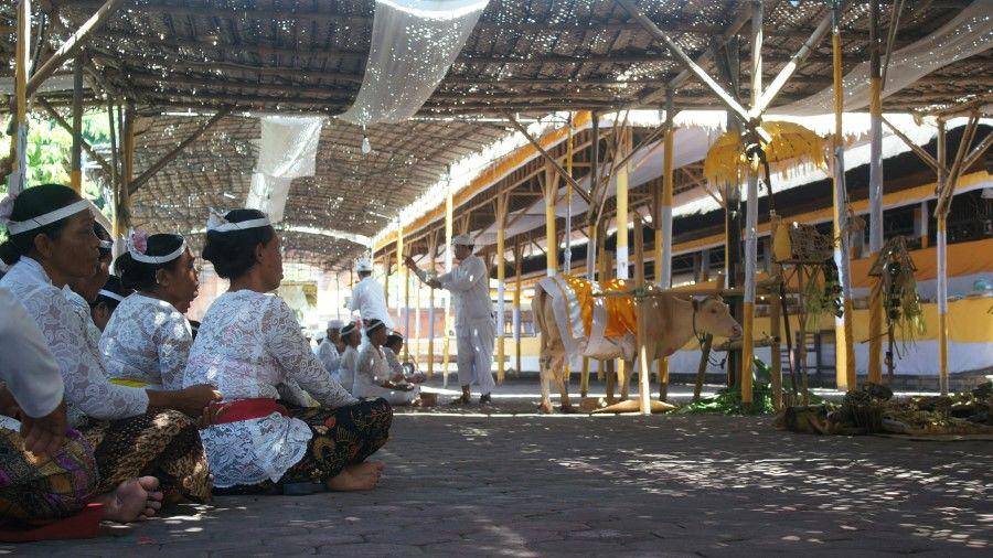 IDN Times/Wayan Antara