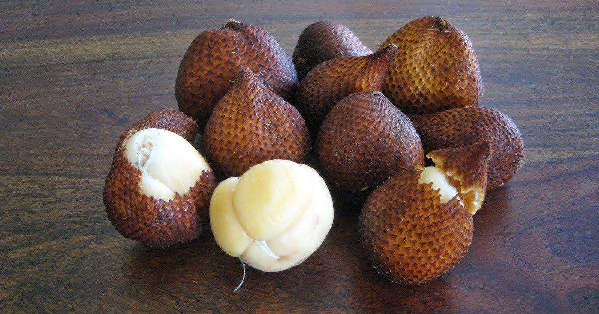 Salak (vaylife.com)