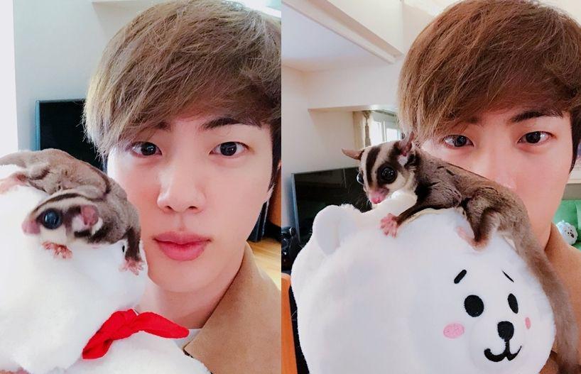 Animal Lover, Begini 7 Potret Para Idol KPop dengan Peliharaannya