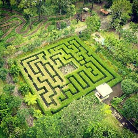 Wajib Mampir! Ini 10 Spot Instagramable yang Ada di Coban Rondo