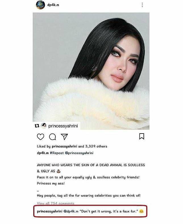 instagram.com/dp4k,m/