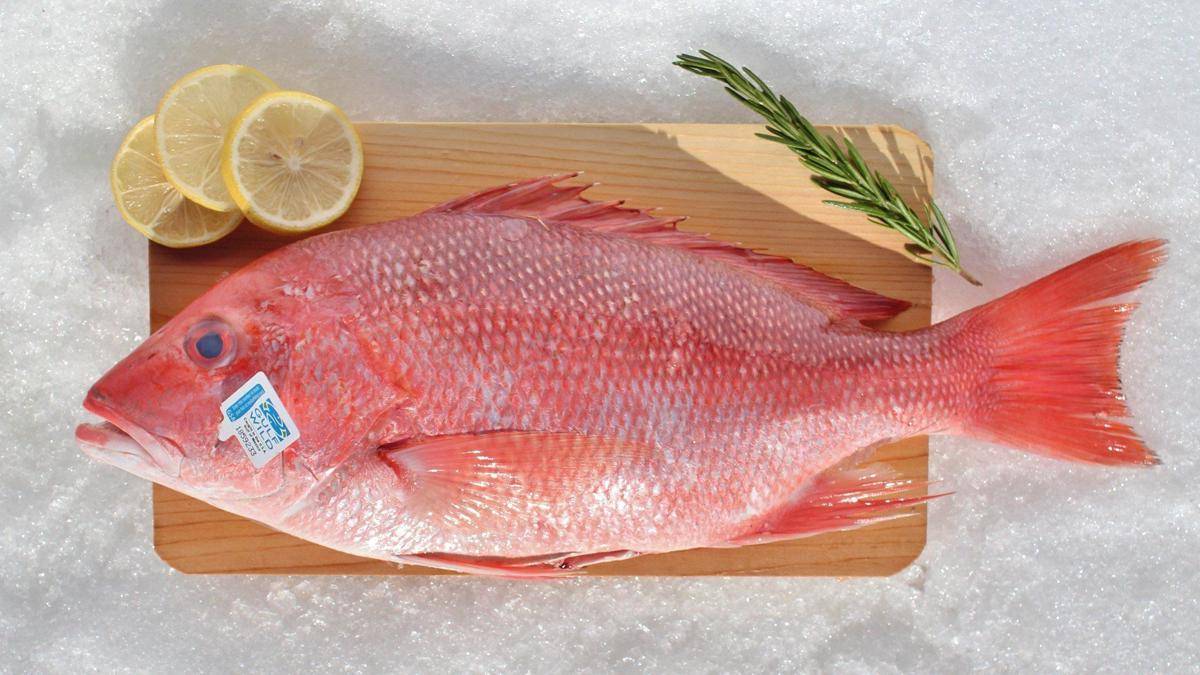 katiesseafoodmarket.com