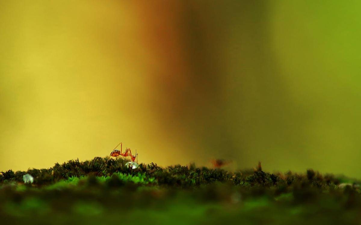 pexels.com/Nandhu Kumar