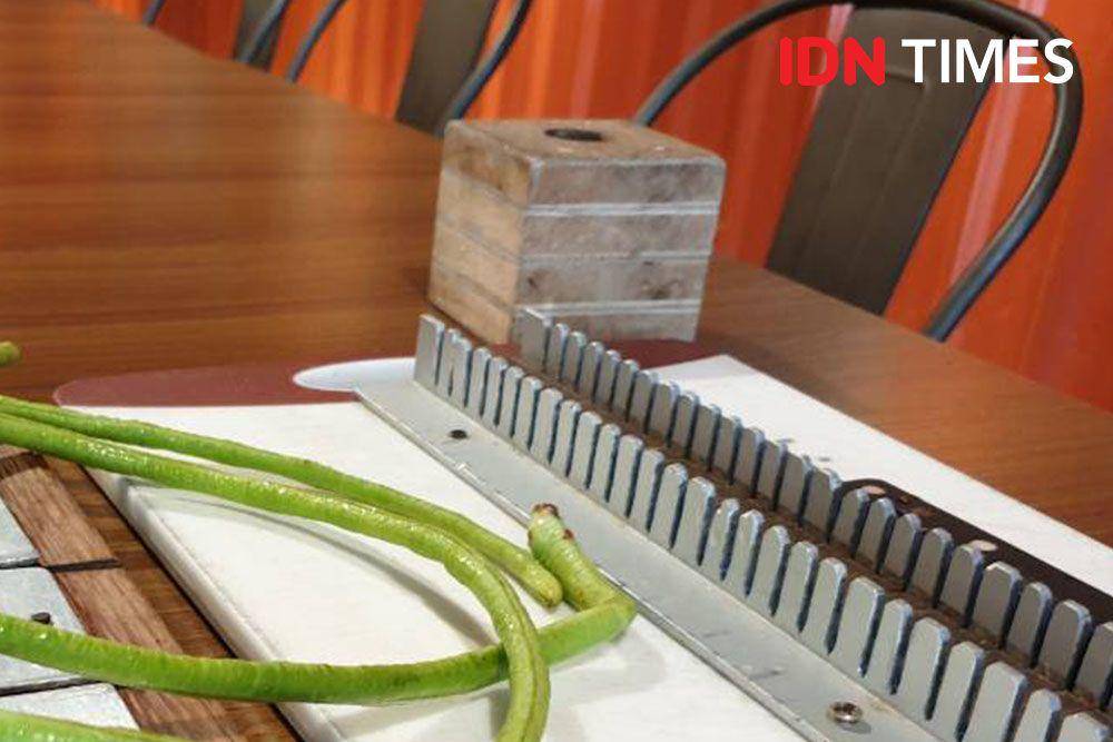 IDN Times/Bayu D. Wicaksono