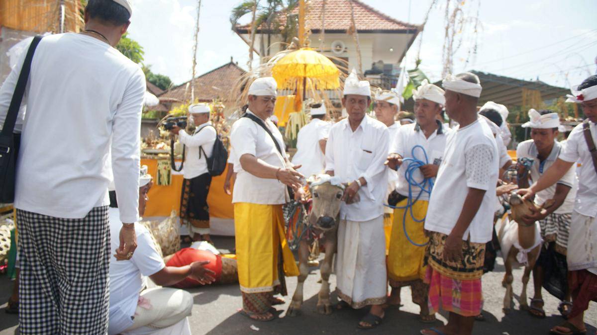 IDN Times/Wayan Antara