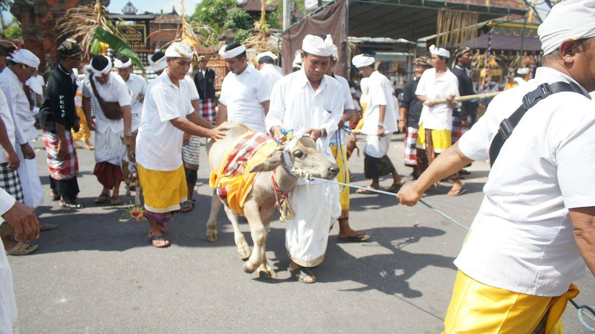 IDN Times/Wayan Antara