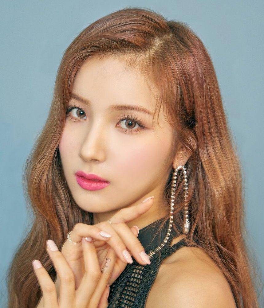 Twitter/@ELRIS_official