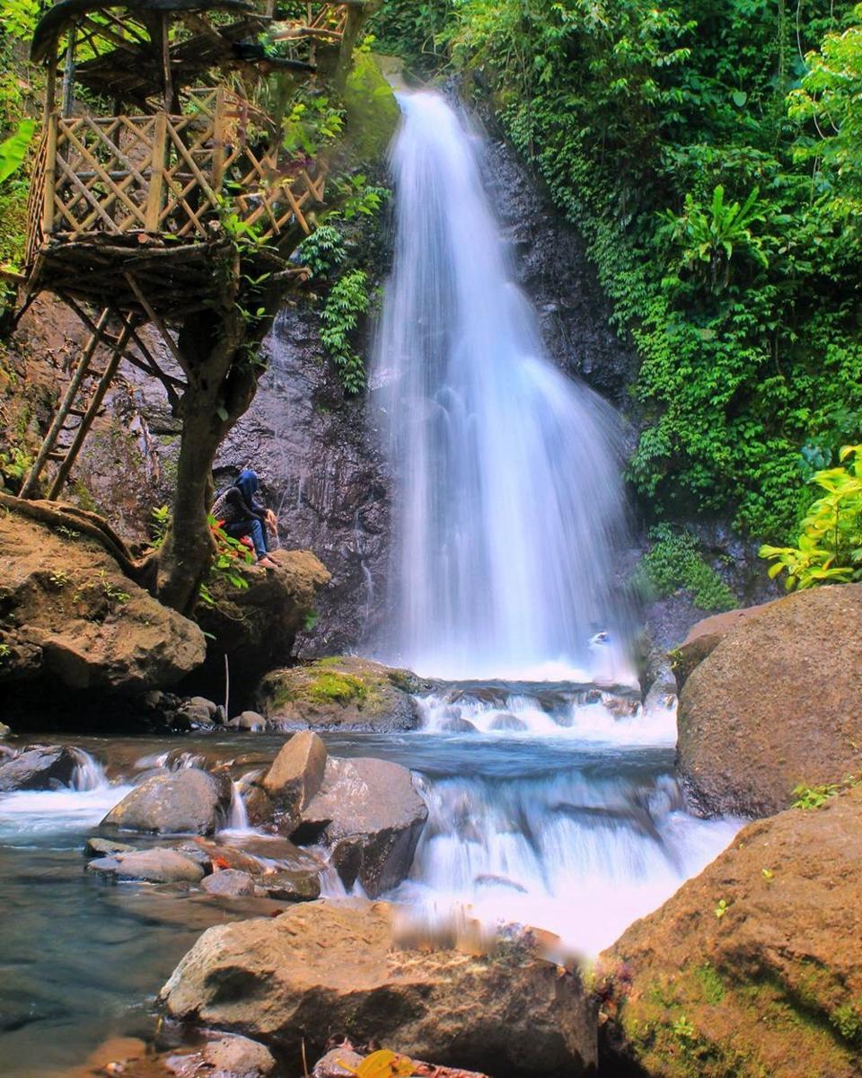 Surga Tersembunyi! 6 Wisata Alam di Ampelgading Malang