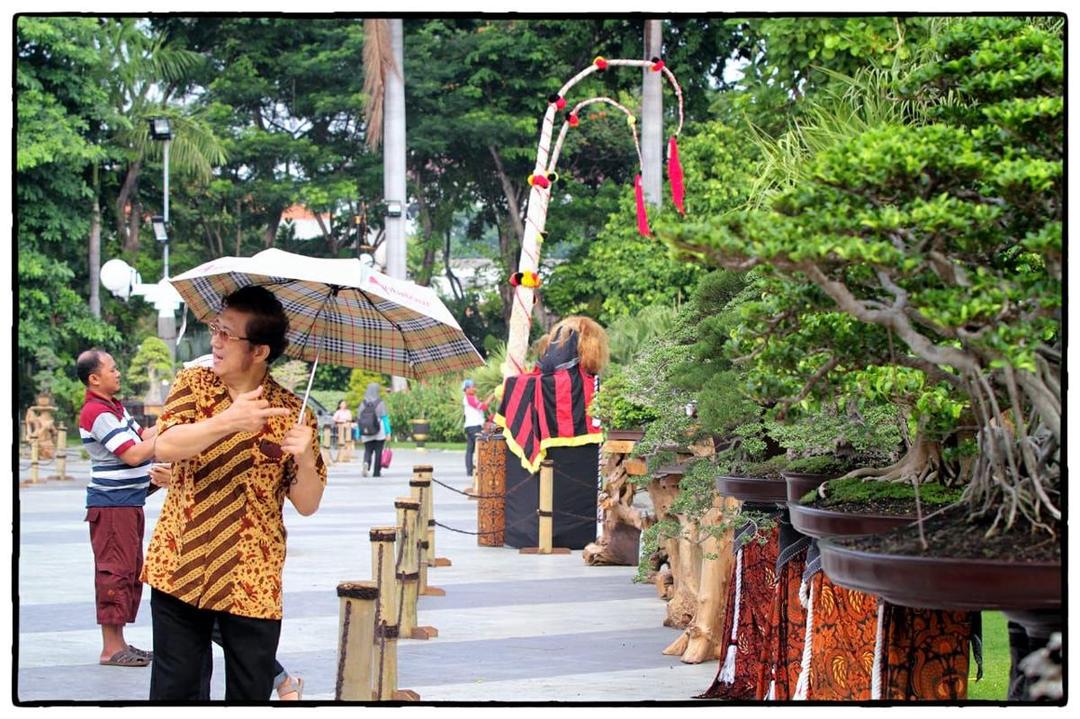 Wow! Ada Pohon Bonsai Seharga Rp1 Miliar di Taman Surya Kota Surabaya