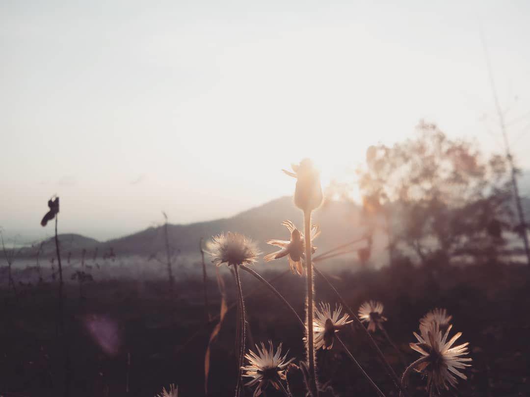 10 Spot Instagramable di Ponorogo, Kamu Sudah Pernah ke Sana?