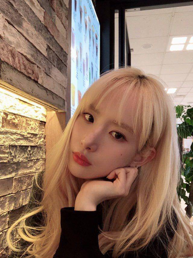 Twitter/@WJSN_Cosmic