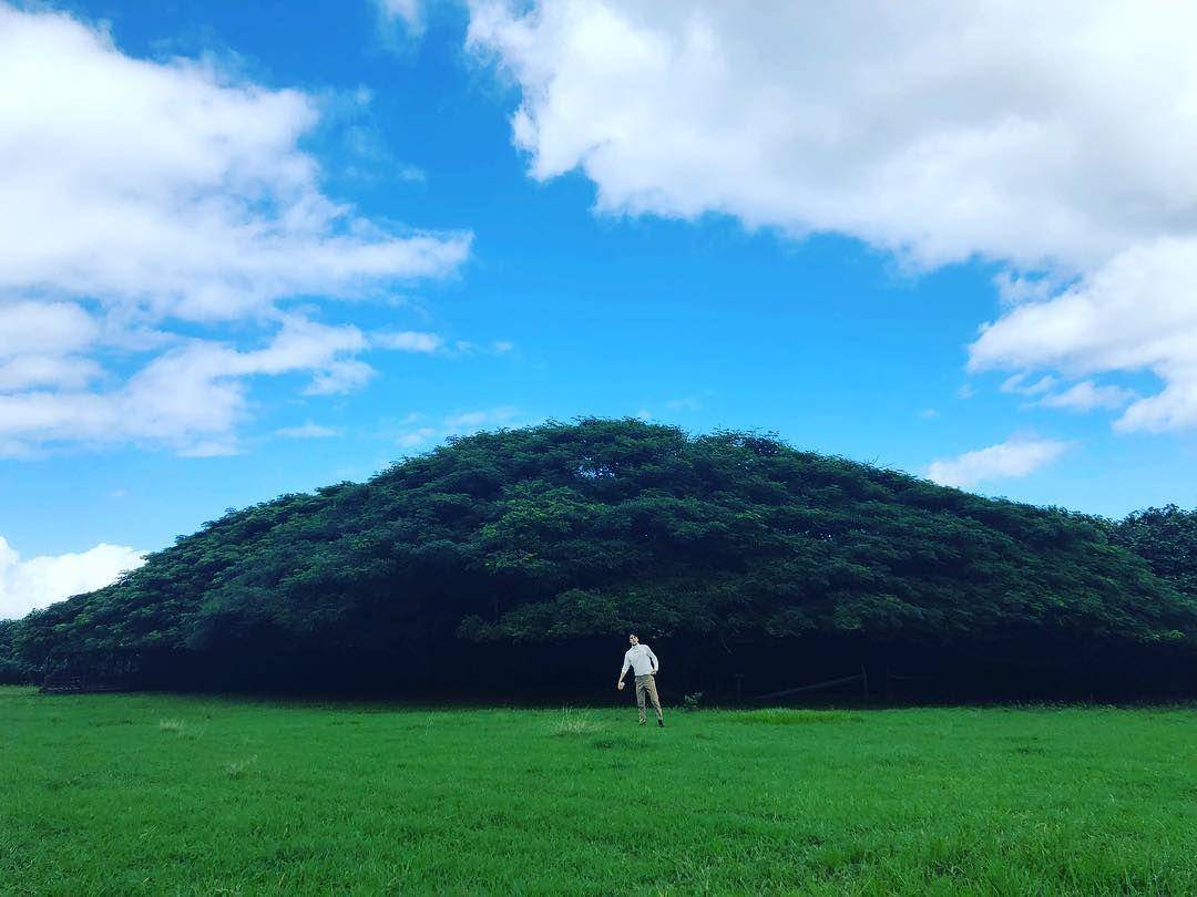 Instagram.com/oohsehun