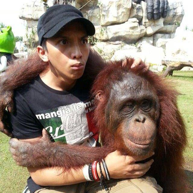 Instagram.com/gepamungkas
