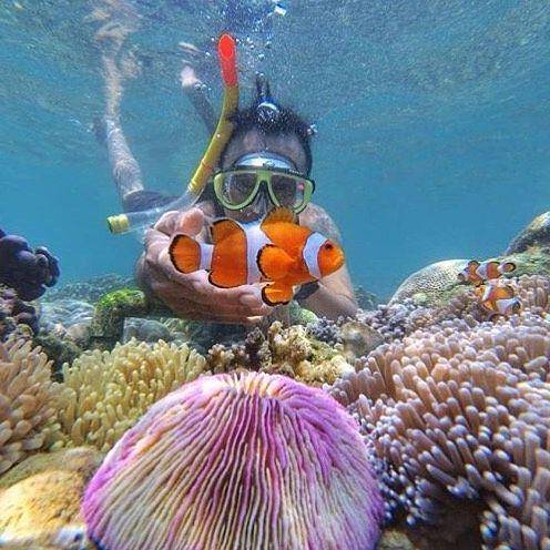 Instagram.com/gili_ketapang_island_1
