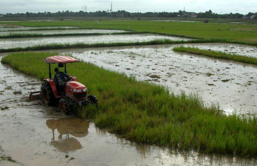 Pengecer di Bima Jual Pupuk Subsidi Seharga Rp230 Ribu per Sak