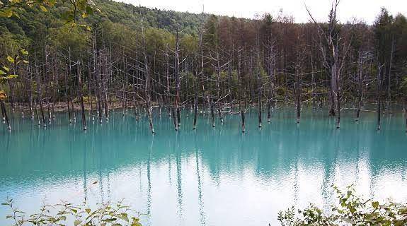 japan-guide.com