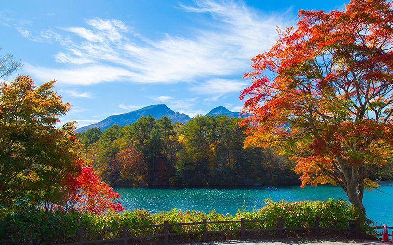 tokyoandaroundtokyo.com