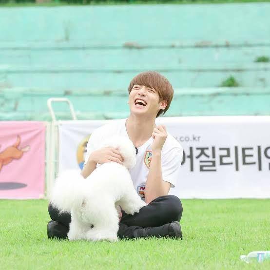 8 Hewan Peliharaan Member BTS yang Populer dan Jadi Kesayangan ARMY