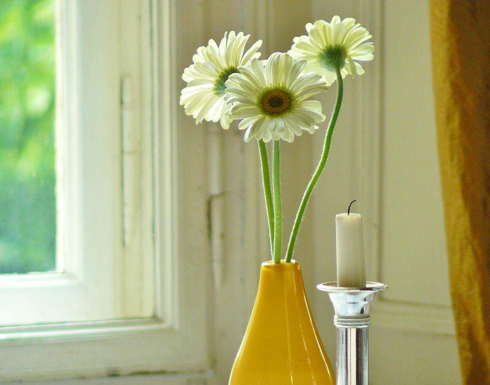 pixabay/cocoparisienne