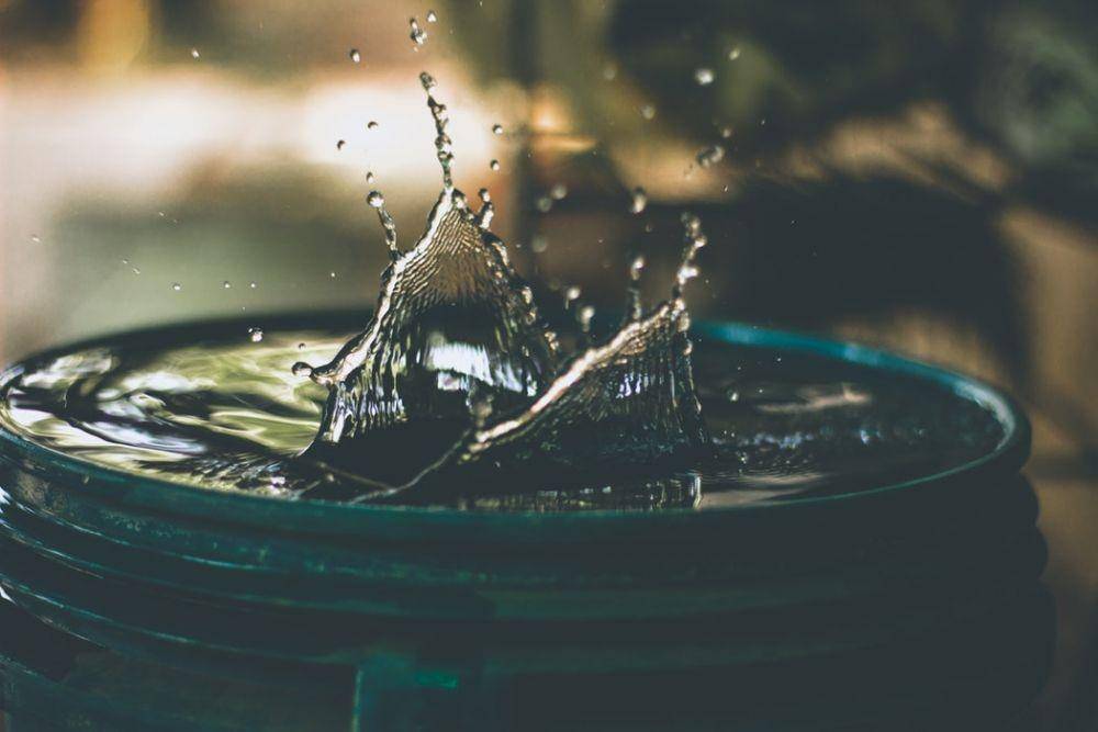 Unsplash/Amritanshu Sikdar