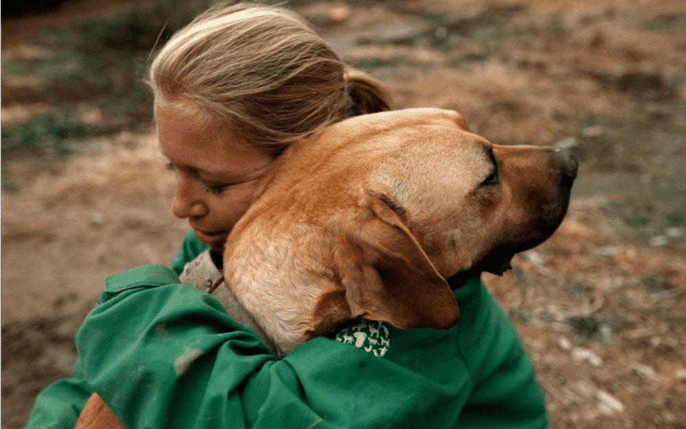 onegreenplanet.org