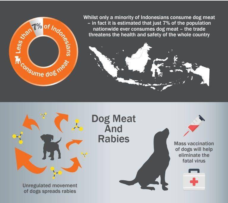 dogmeatfreeindonesia.org