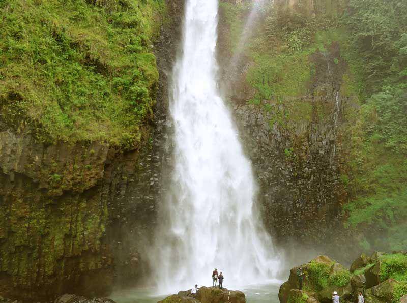 gocelebes.com