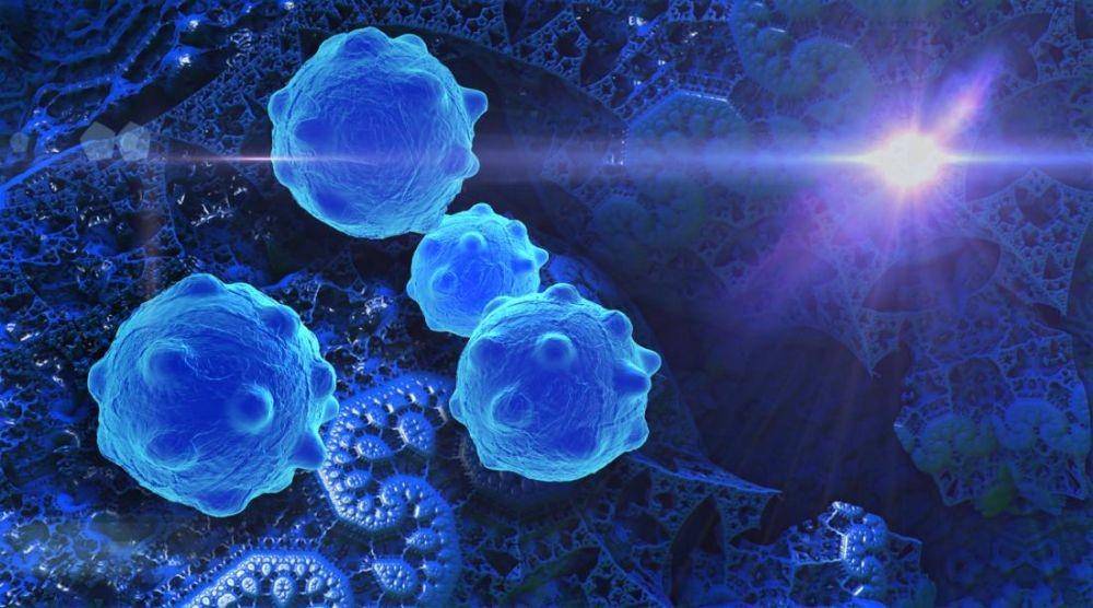 medicalnewstoday.com