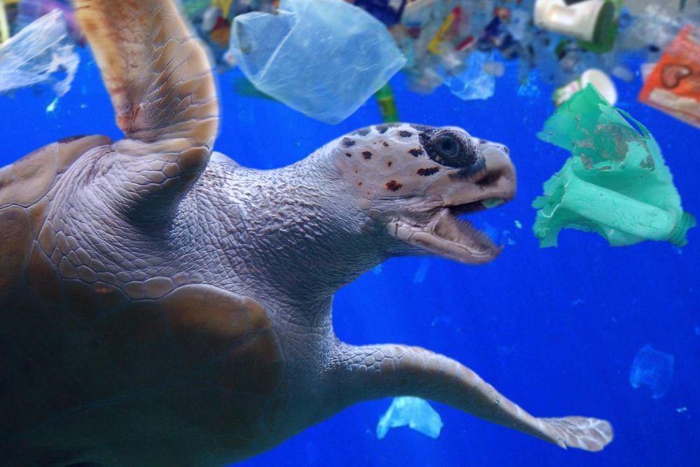 Gimana Cara Mendaur Ulang Sampah Plastik Kemasan? Ini Inovasi Unilever