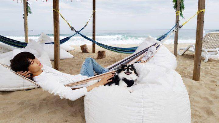 instagram.com/realstraykids