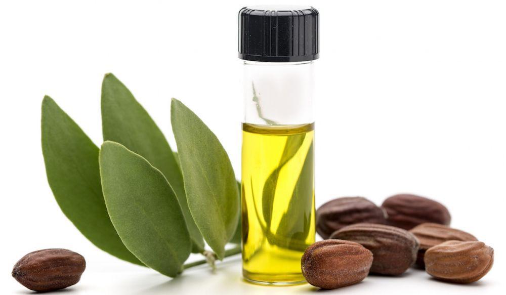 Dari Ujung Rambut Hingga Kaki, Ini 8 Manfaat Jojoba Oil bagi Tubuh