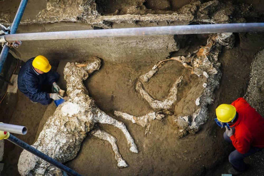 Arkeolog Temukan Fosil Kuda di Kota Kuno Pompeii