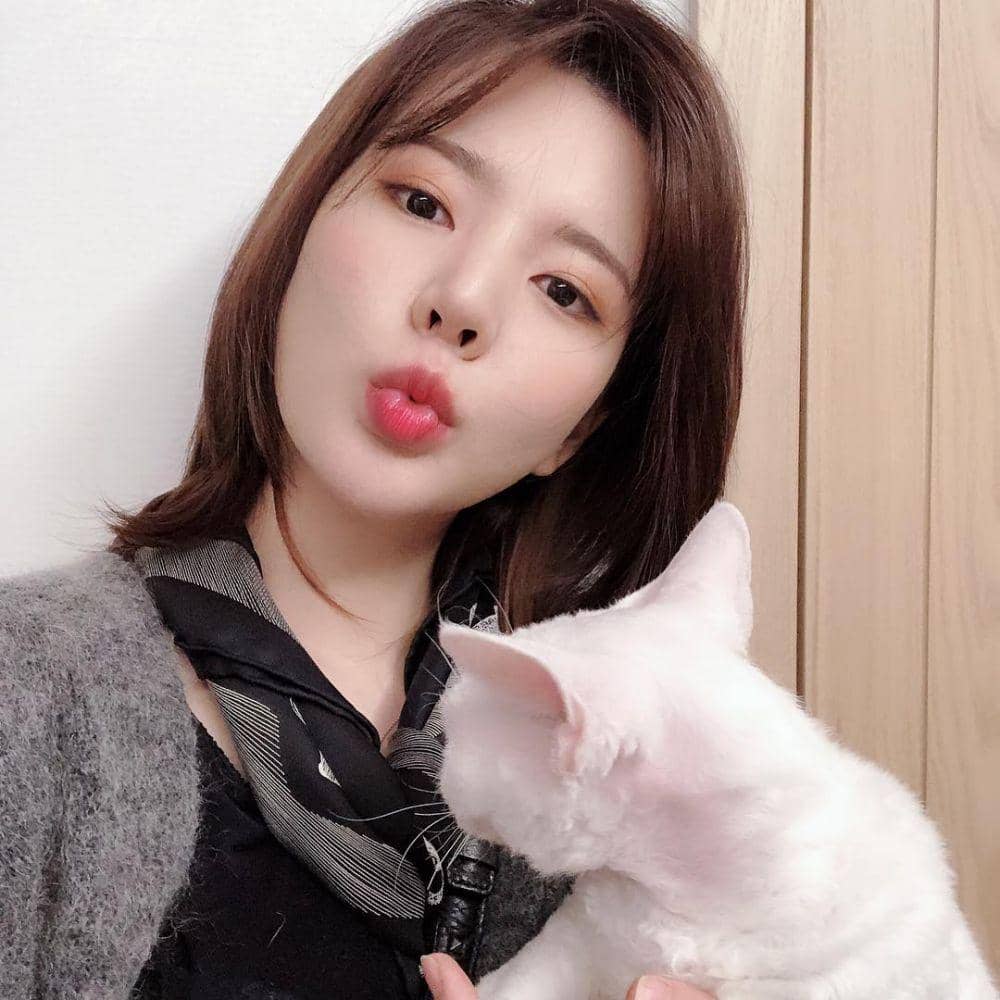 Instagram.com/515sunnyday