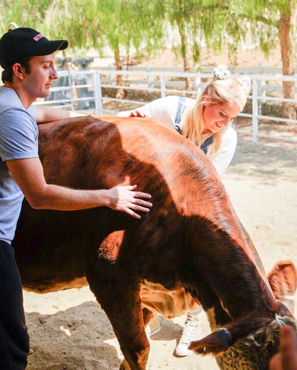 instagram.com/meghan_trainor