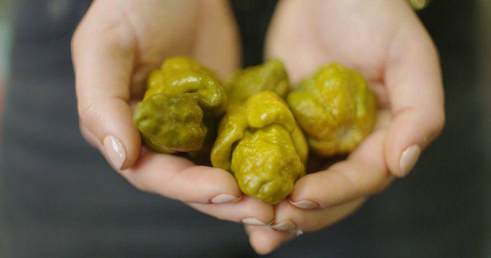 Thrillist.com