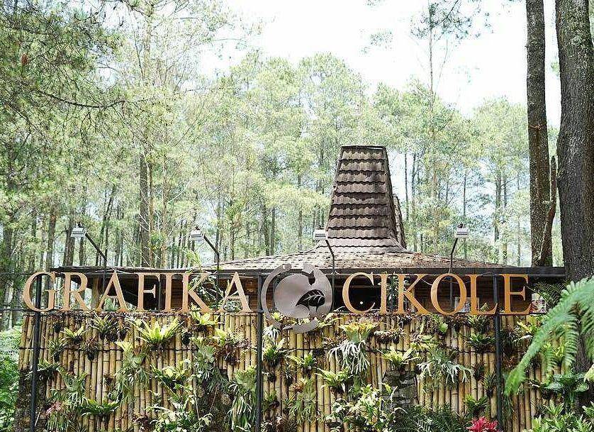instagram.com/officialgrafika (repost @travelovestories)