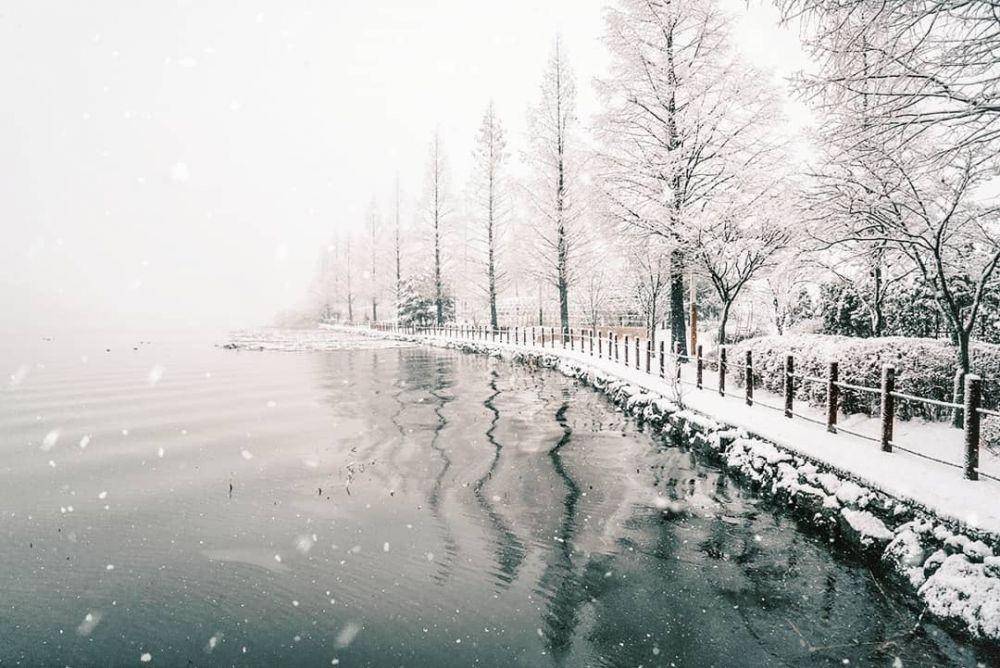 Instagram.com/jeongeun_jo